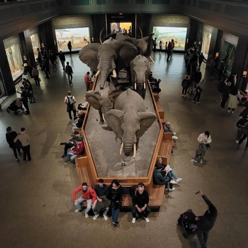 Actualités Actualités - Évènements