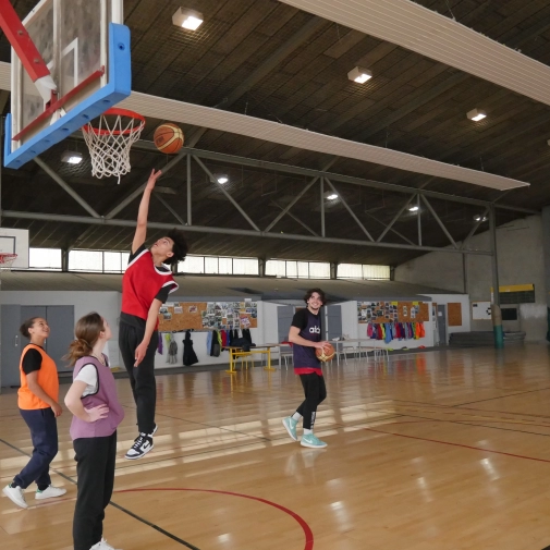 Section Sportive Basket-Ball 