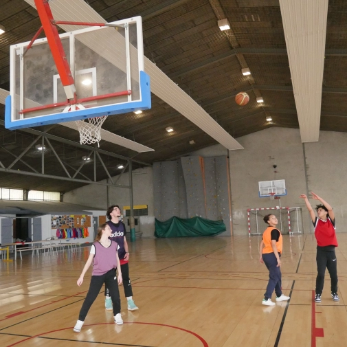 Section Sportive Basket-Ball 