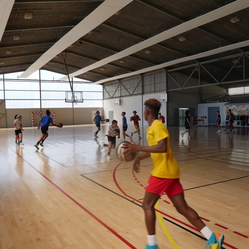 Section Sportive Basket-Ball 