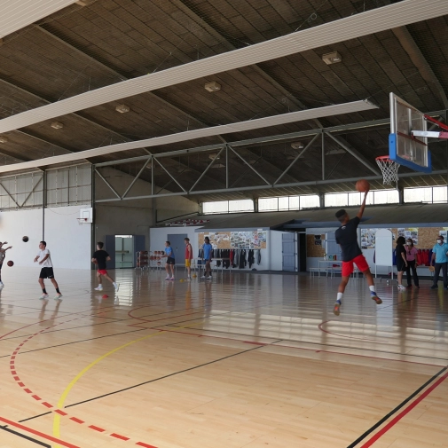 Section Sportive Basket-Ball 