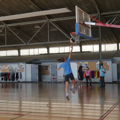 Section Sportive Basket-Ball 