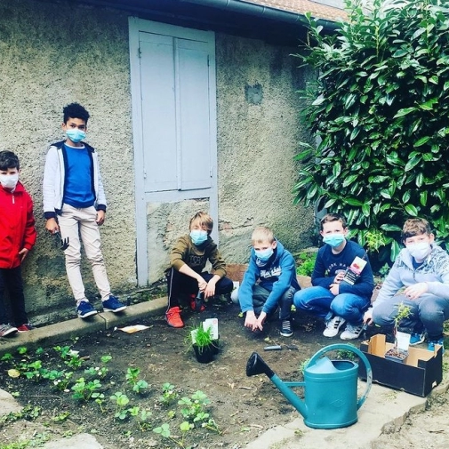 Observer la nature  : création du potager