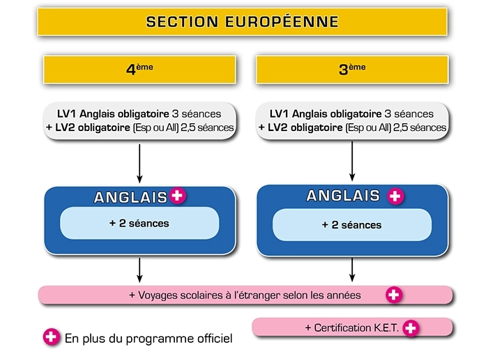 Section Européenne 