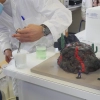 Semaine de la Science à La Sède