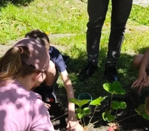 Plantation des éco-délégués du Pradeau