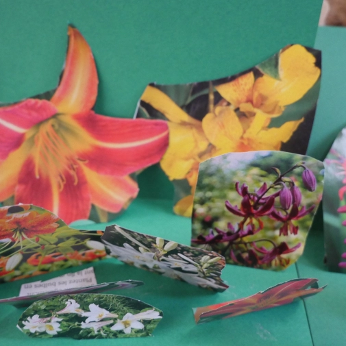 Œuvres des Élémentaires