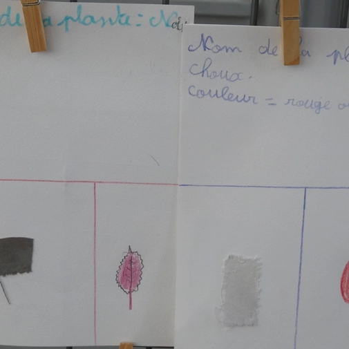 Œuvres des Élémentaires