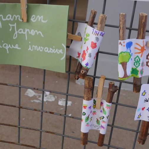 Œuvres des Élémentaires