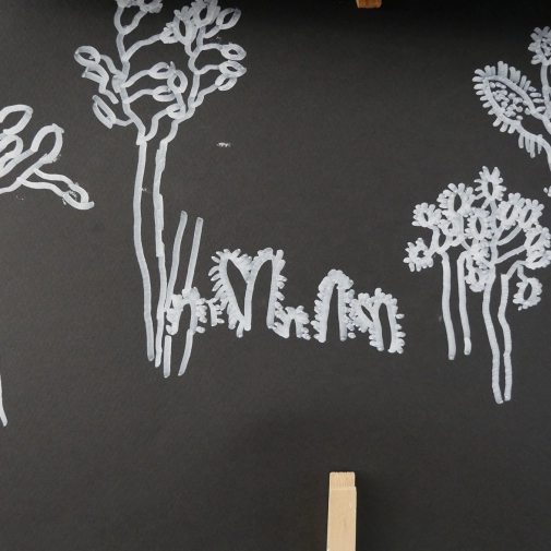 Œuvres des Élémentaires