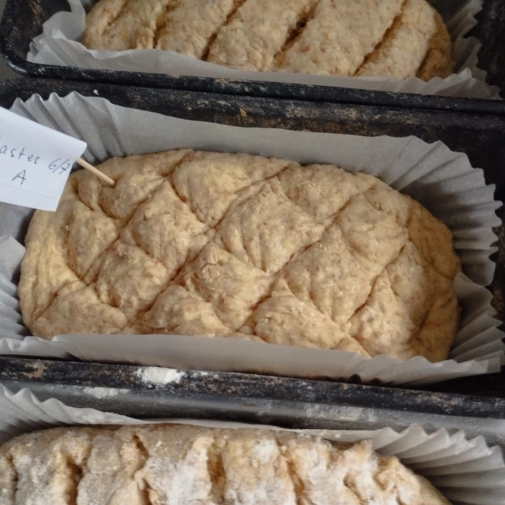 Jour 3-  Mercredi 18 Février