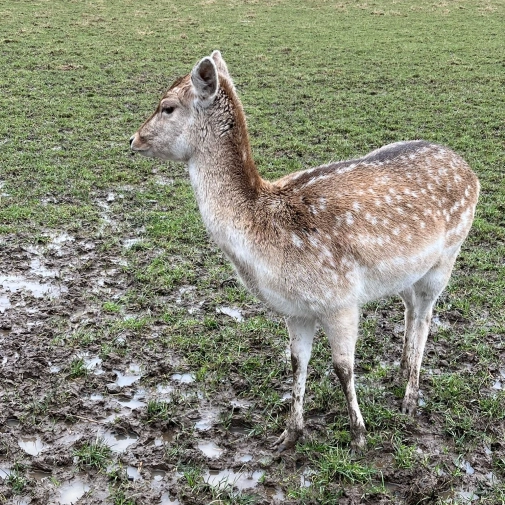 Jour 3-  Mercredi 18 Février