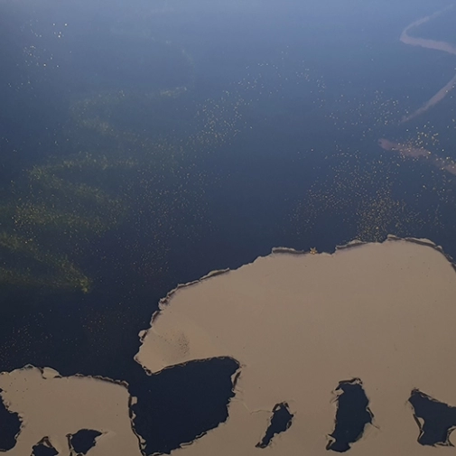 Galerie des œuvres :