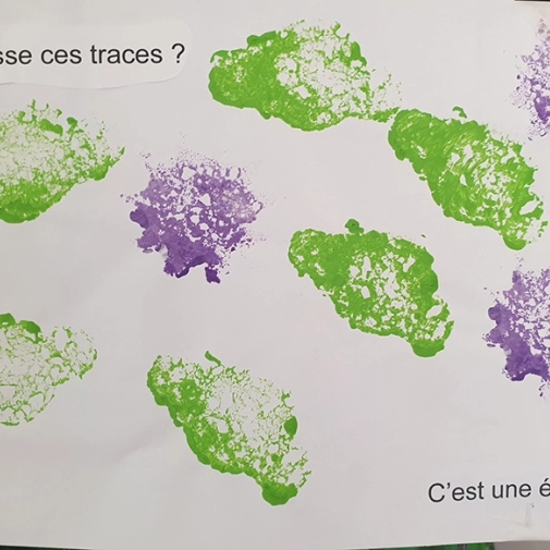 Galerie des œuvres :