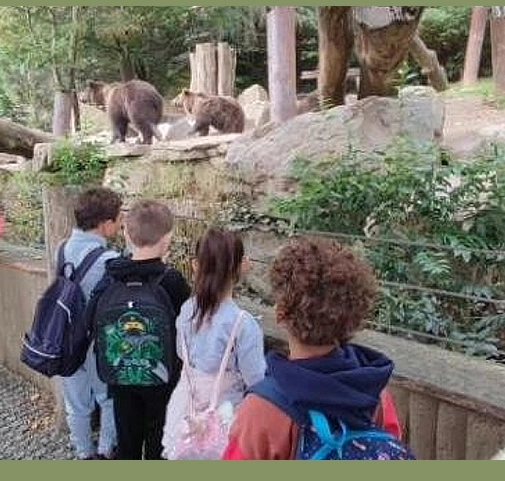 Les gs et Cp au parc animalier