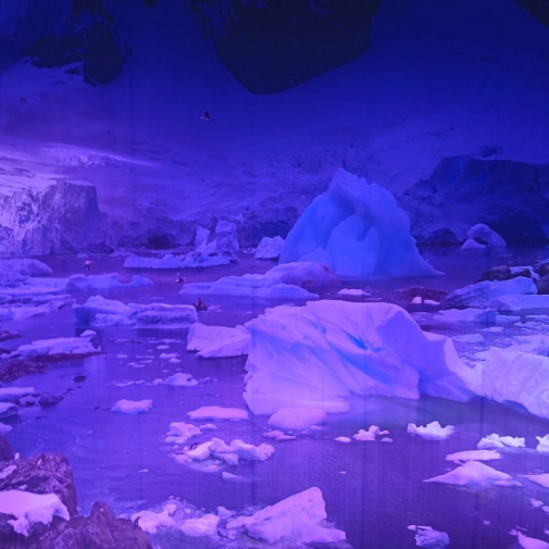 Jour 5 : mardi 24 mars