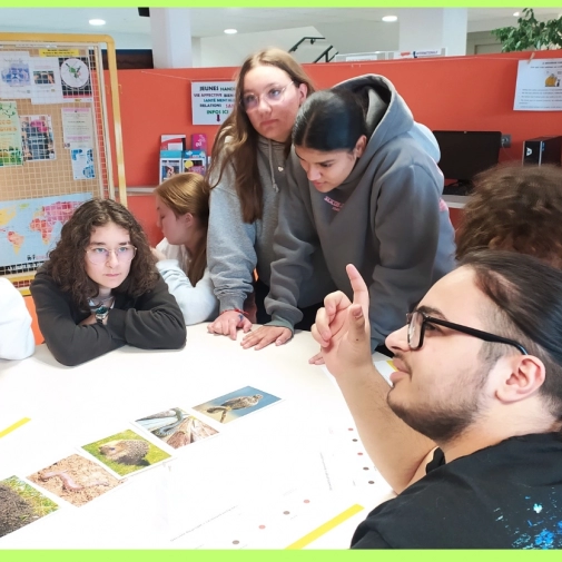 Projet biodiversité -   st pierre