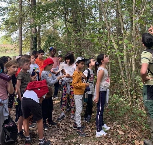 Sortie EDD au bois de la Barthe
