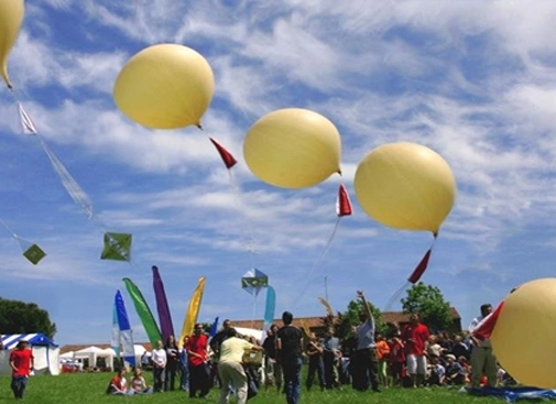 Atelier : un ballon pour l'école