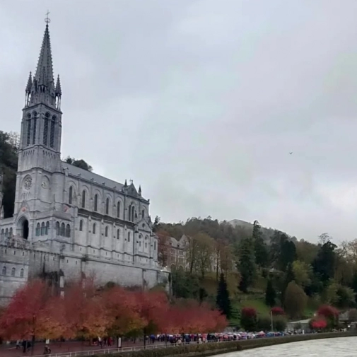 Pélerinage diocésain