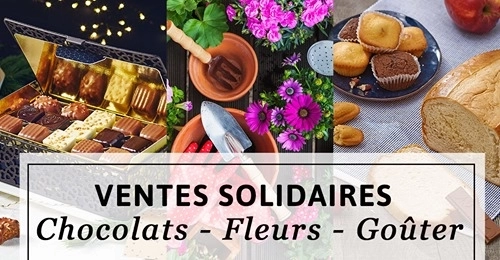 Les 1ères STMG proposent la vente de fleurs pour les chiens du silence