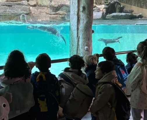 Visite parc animalier - GS Pradeau