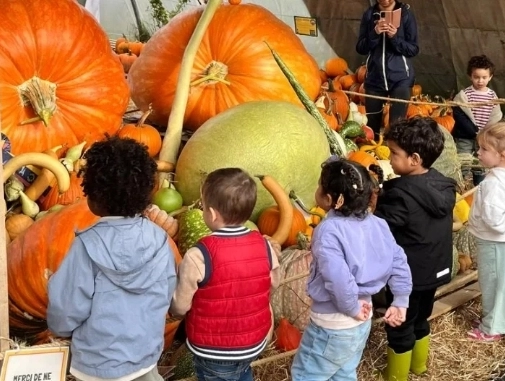 Cueillette des pommes - Pradeau