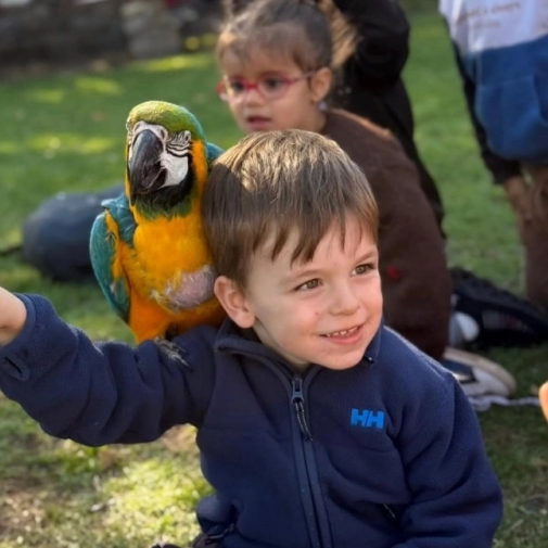 Sortie au donjon des aigles - St-Joseph