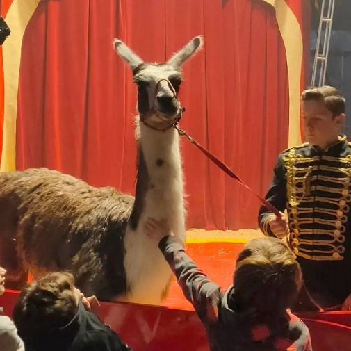 Cirque pour toute l'école du Pradeau