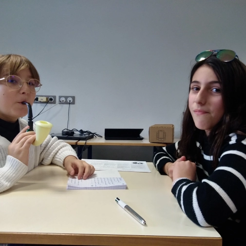 RENCONTRE CM2-6EME : LES ELEVES MENENT L'ENQUêTE !