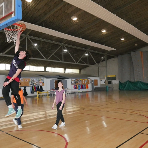 Section Sportive Basket-Ball 